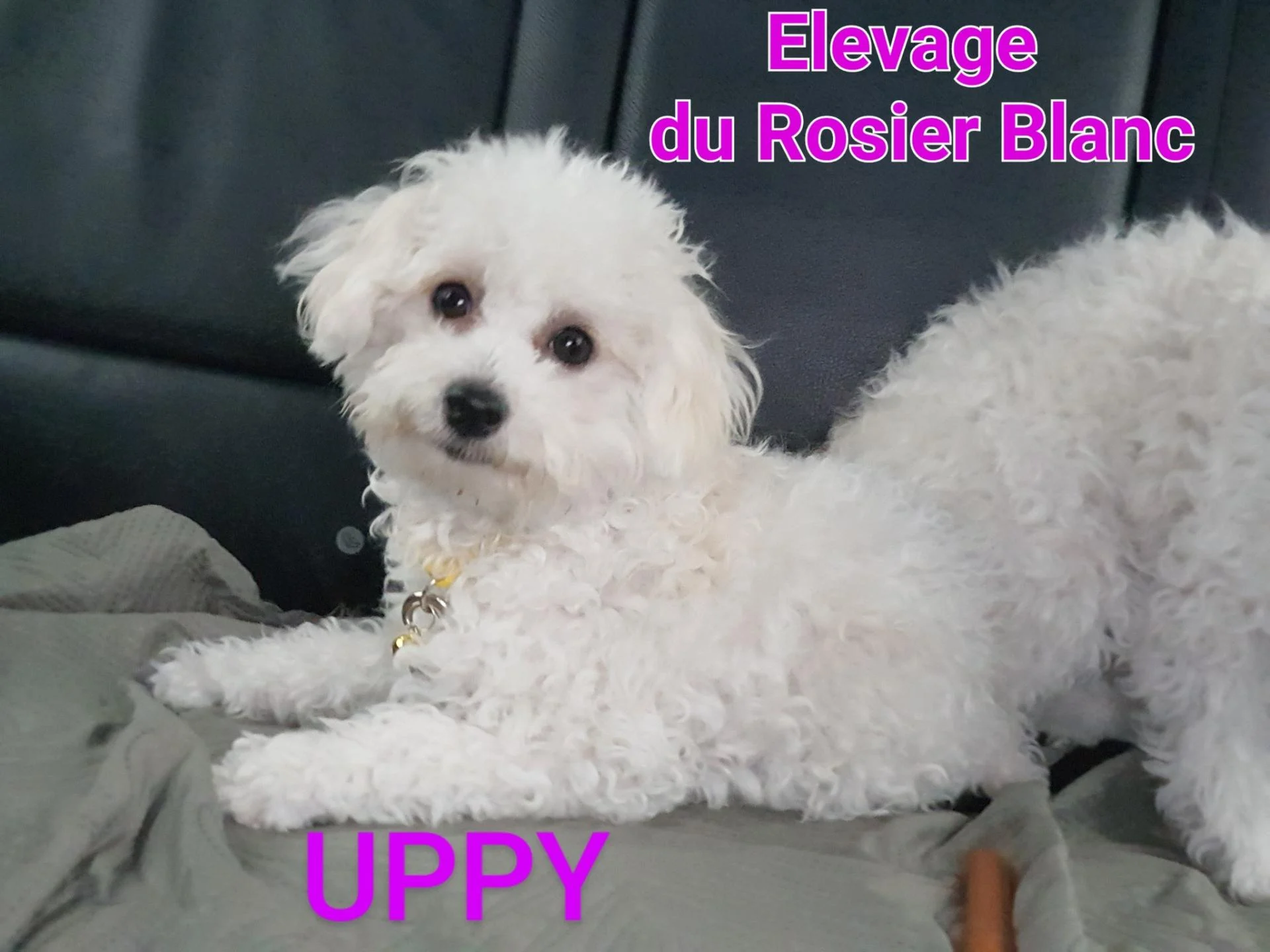 577529239 10233560496008253 5239245132459394307 n