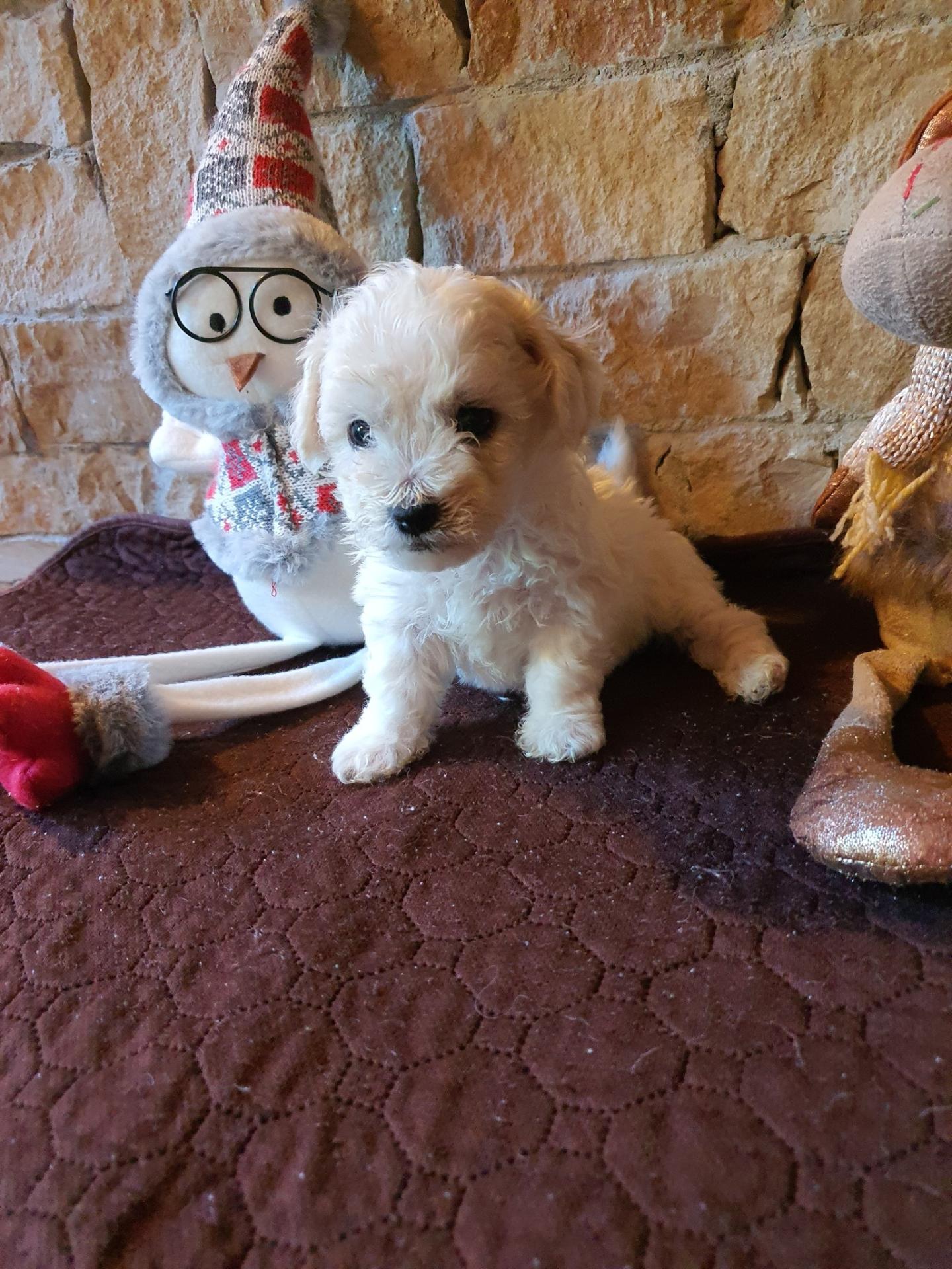 584121267 1318773210049023 6977942400328071453 n