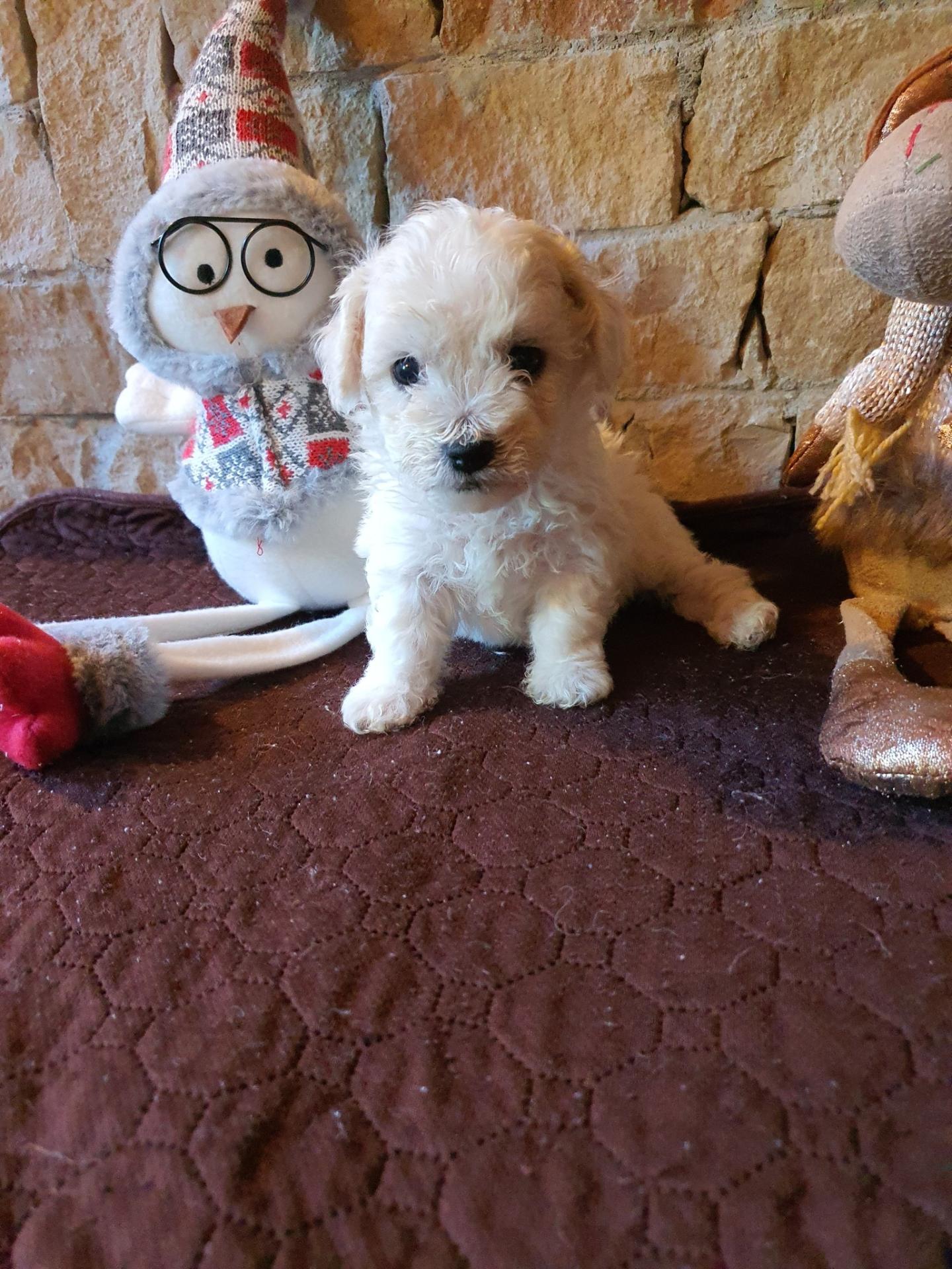 584441238 1318773616715649 3051822838486127737 n