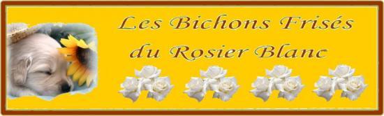 BANNIERE-121.jpg